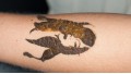 Henna Application